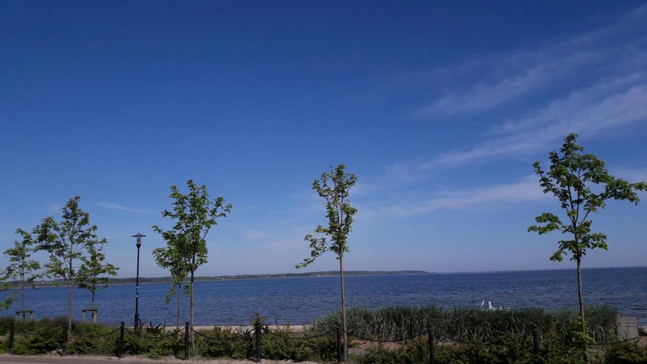 Villa U Przyjaciol Rewa Eksteriør bilde